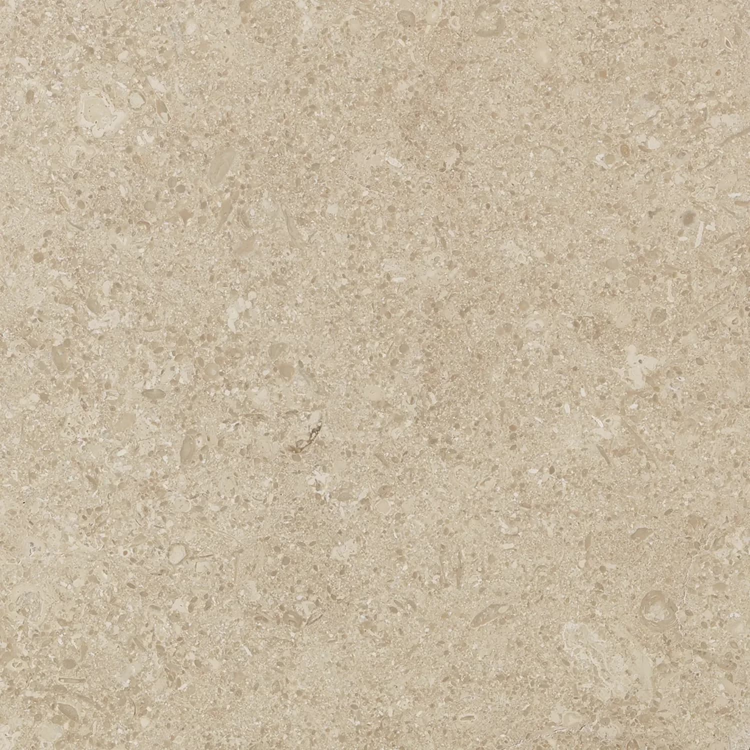 Grolla Limestone: Beige, Rosato, and Terrazzo Explained